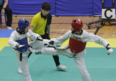 Taekwondo seventeen