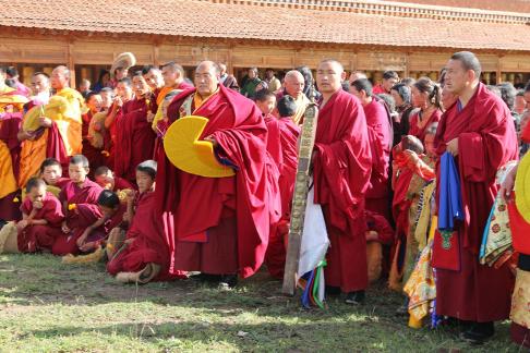 Group Of Lama twenty three