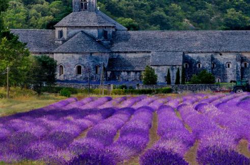 Abbey Senanque