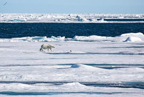 Svalbard35