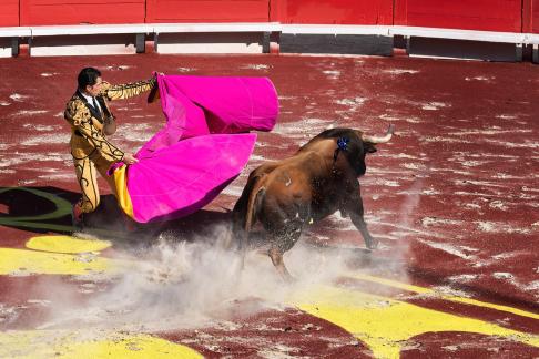 Corrida Arles 5