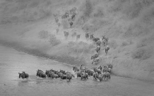 River Crossing