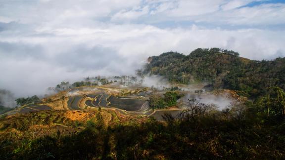 Sea of clouds in morning terraced l