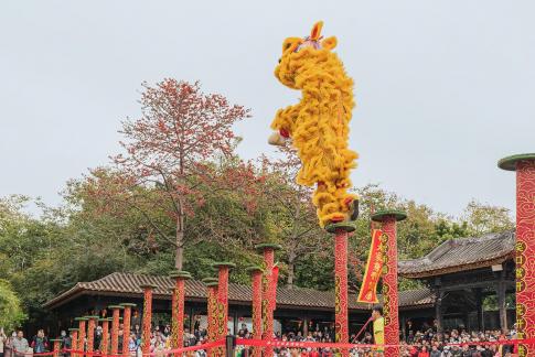 The breathtaking lion dance B