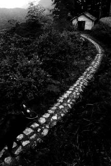 Mountain stone path