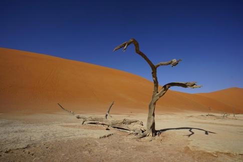 Deadvlei_8