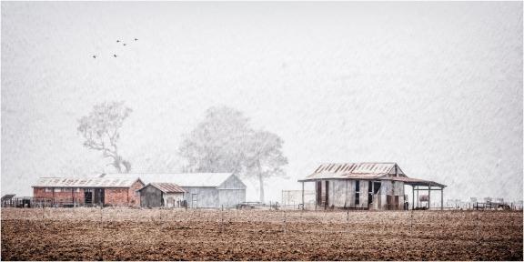 Farm sheds in fog