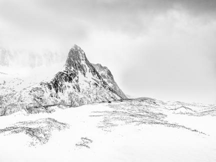 Fjordboten in cloud