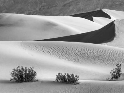 Mesquite flats sand dune