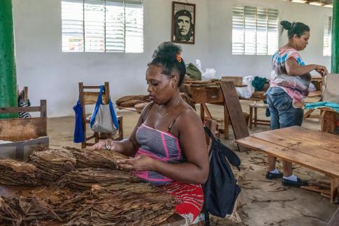 Cigar factory Cuba