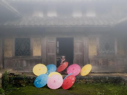 Painted Umbrella