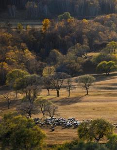 Golden Autumn Ranch 4