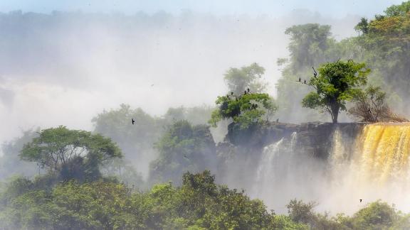 Iguazu Falls w Vultures