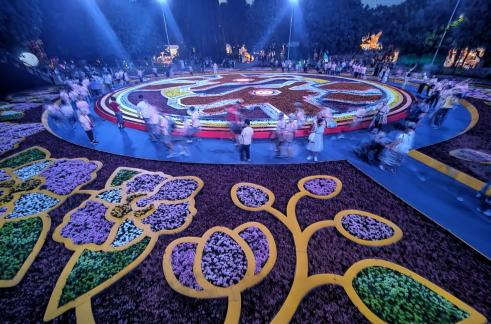 Flower carpet in GBTB