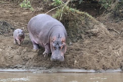 Bebe hipo et maman - Kenya