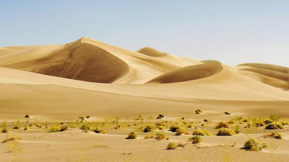 Sand Dunes