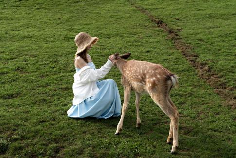 belle and fawn