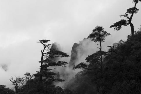 Mang mountain jinsong