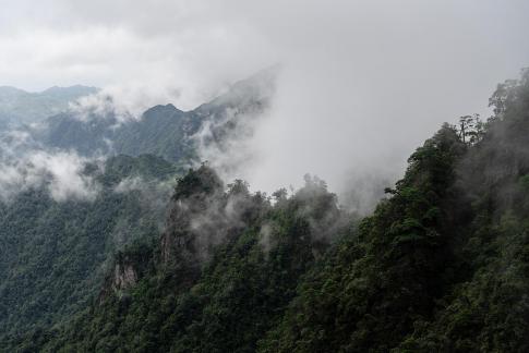 Yunwu Mangshan Mountain