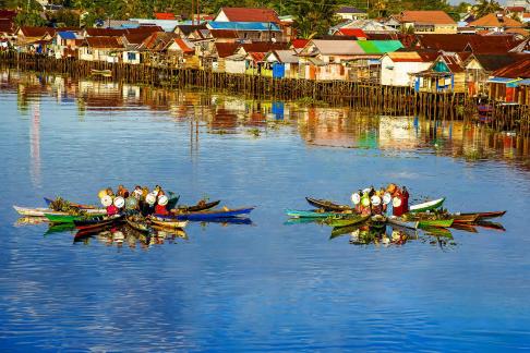 lotus of water market