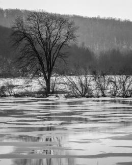 Middle Creek Lake