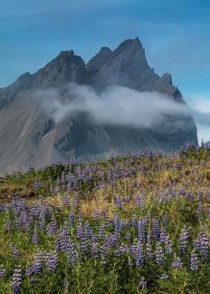 Vestrahorn 4143