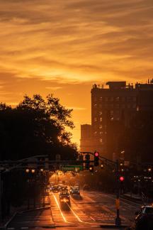 Camden sunrise