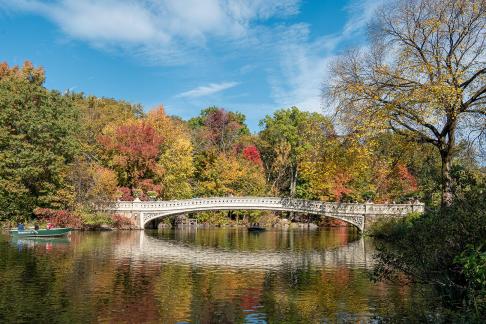 Bow Bridge in Falls 2331