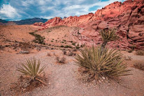 Red Rock Canyon