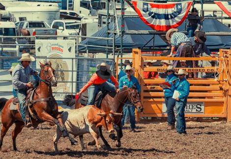 Rodeo Queanbeyan 4