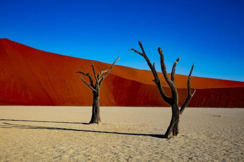 Deadvlei