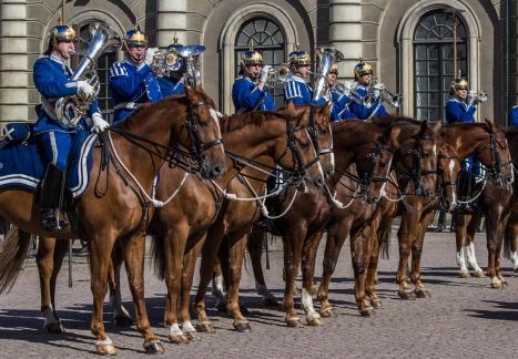 Royal Dragoons Orchestra 6947