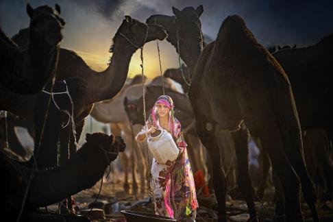 Morning in Camel Village