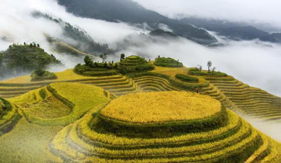 Harvest Map of Yaozhai