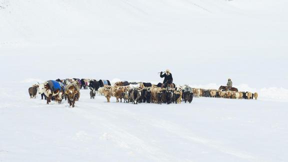 Mongolian Kazakh Migration 02