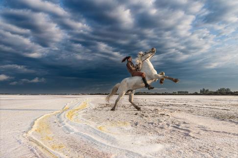 Aux Salins Aigues Mortes 8