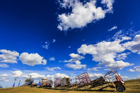 Summer grassland