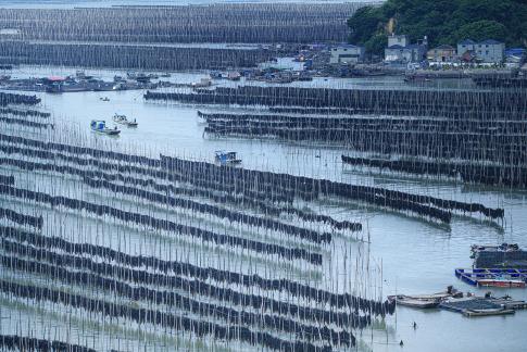 fishing town