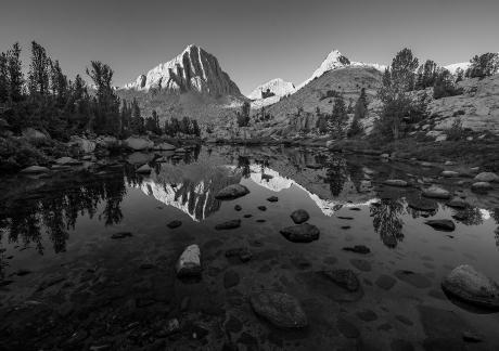 Pine Tarn Morning