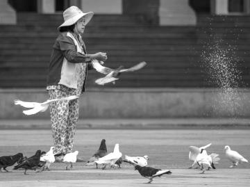 Woman and pigeons