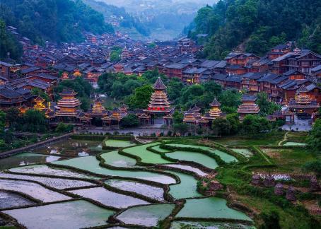 Shanzhai Terraced Fields