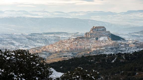 Morella nevada