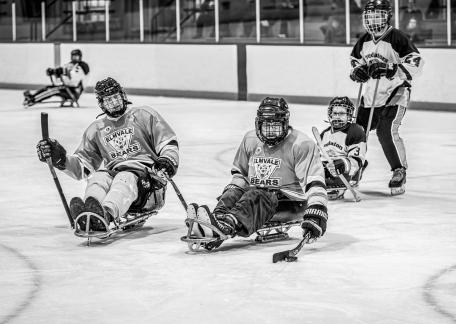 Sledge Hockey 7