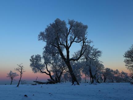 Early Dawn