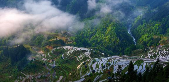 Cloud cage terraced fields