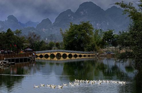 The small bridge and a duck pond