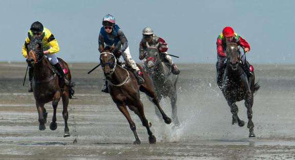 gallop race 24