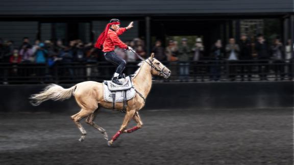 Horse show 3