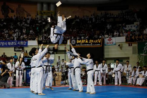 Taekwondo 03