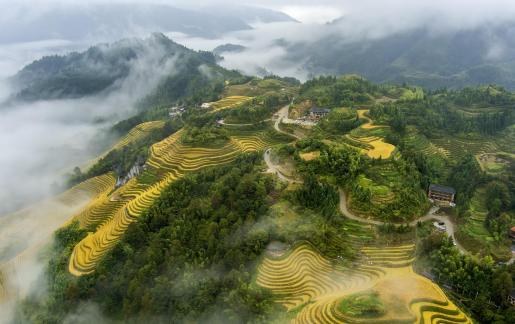 Autumn in Zhuang Village